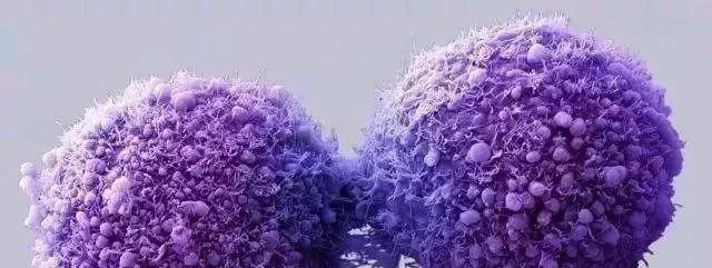 NK細(xì)胞：強(qiáng)大的抗癌前鋒！