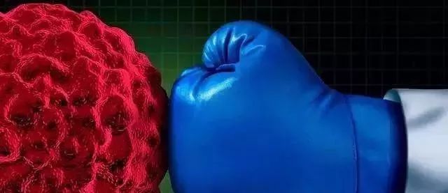 NK細(xì)胞：強(qiáng)大的抗癌前鋒！